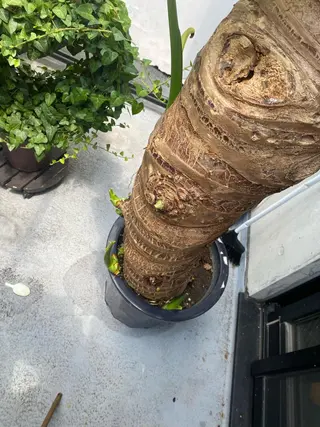 Mandarin Orange所属・毛穴から始める肌メン テマンダリンオレンジのエステ・リラクイメージ