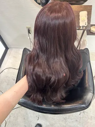 セミロング カラー 🤍透明感/韓国風 🤍サクラギヒトミのヘアスタイル