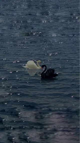 アイブロウ 🩶バインドロック まつパ🩶由佳の眉毛・アイブロウイメージ