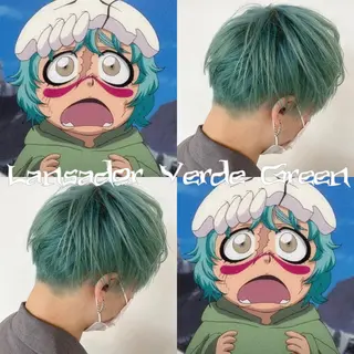 ショート カラー ハイトーン/ウルフ /小澤凌祐🦕のヘアスタイル