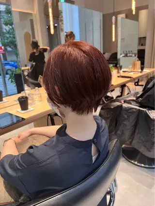 ショート 透ける艶カラー💎 ミオのヘアスタイル