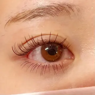 マツエク・マツパ Celeste Venus所属・🧸Celeste Venusのマツエク・マツパデザイン