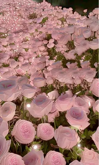 メンズ キッズ アイブロウ Anela 🦋HARUMIの眉毛・アイブロウイメージ