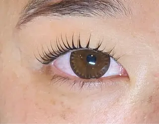 マツエク・マツパ Daisy lash 京橋店堀井のマツエク・マツパデザイン