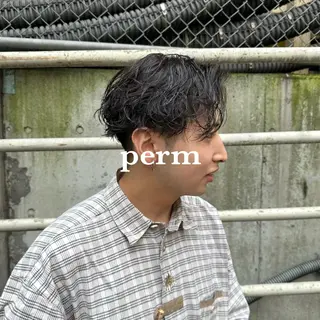 ショート パーマ メンズ メンズ特化/トレンド スタイル/白澤のヘアスタイル