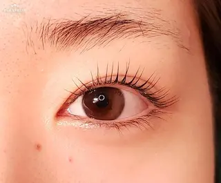 マツエク・マツパ アイラッシュ コペル【Copel】所属・個室サロンcopel 　kishimotoのマツエク・マツパデザイン