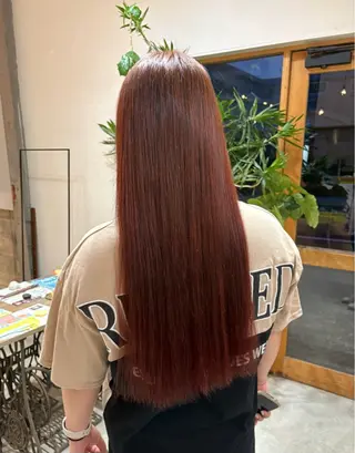ロング SOKO所属・林 玲奈のヘアスタイル