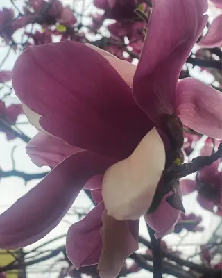 ネイル free hug Hiromiのネイルデザイン