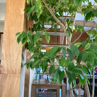 ニキビケア/毛穴/ 赤み/自信の肌✨森園のエステ・リラクイメージ