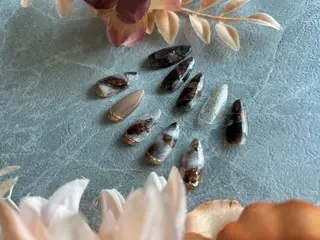 ネイル Lilvera所属・中村 春菜のネイルデザイン