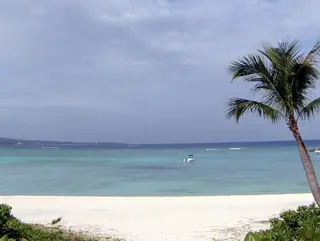 西新美容室 ナチュラルオーブンのヘアスタイル