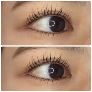 マツエク・マツパ 《eyelash ｉｉｔｅ》森のマツエク・マツパデザイン