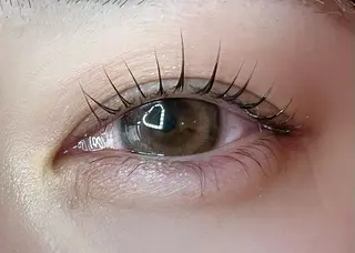 マツエク・マツパ Celeste Venus所属・🧸Celeste Venusのマツエク・マツパデザイン