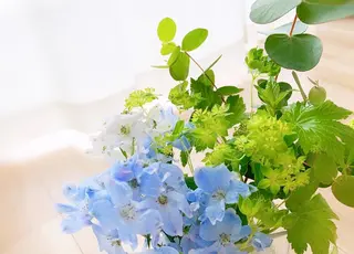 木場 ＊のマツエク・マツパデザイン