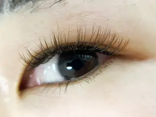 マツエク・マツパ Plume micoのマツエク・マツパデザイン