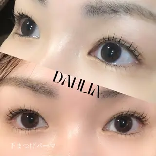 マツエク・マツパ Dahliaダリア 斉藤のマツエク・マツパデザイン