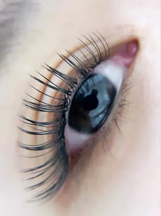 マツエク・マツパ Plume micoのマツエク・マツパデザイン