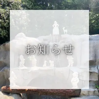 マツエク・マツパ KURUMI🦋 まつエクまつパ美眉のマツエク・マツパデザイン