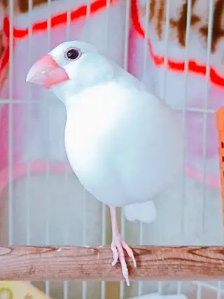 g*rossa高橋 くみこのエステ・リラクイメージ