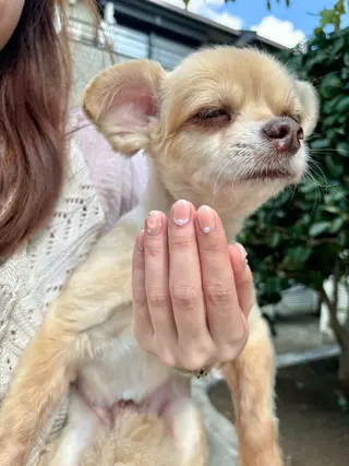 ネイル 樫原 なおこのネイルデザイン