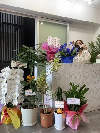 韓国アイドルまつげ ❤️LUSHLASHのマツエク・マツパデザイン