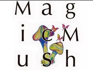 MagicMush ✴︎シールエクステのヘアスタイル