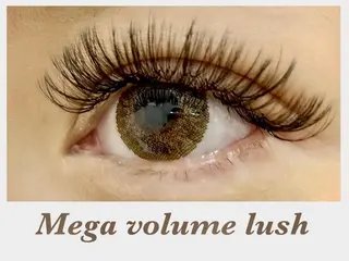 マツエク・マツパ Celeste Venus所属・🧸Celeste Venusのマツエク・マツパデザイン