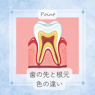 メンズ ネイル ホワイトニングサロン nico西葛西店のその他イメージ