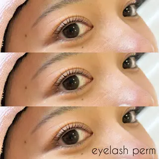 マツエク・マツパ ✧elpatio✧︎ 小出紗羅のマツエク・マツパデザイン