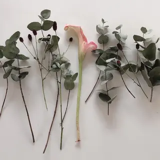 マツエク・マツパ eyelash ukのマツエク・マツパデザイン