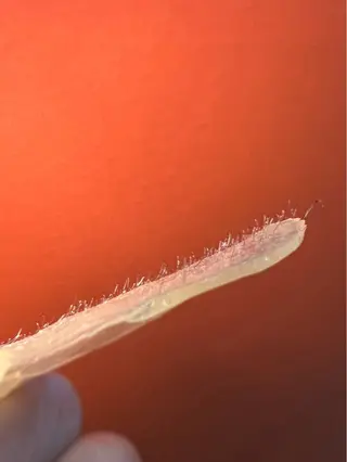 マツヤニワックス専門 堂山町 ルミエールのエステ・リラクイメージ