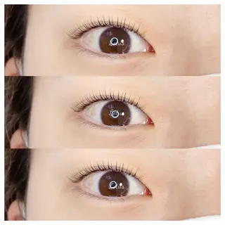 マツエク・マツパ Lotus所属・Lotus ロータスのマツエク・マツパデザイン