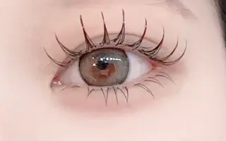 マツエク・マツパ アレグレス所属・アレグレス@池袋 🌹大人気店🌹のマツエク・マツパデザイン