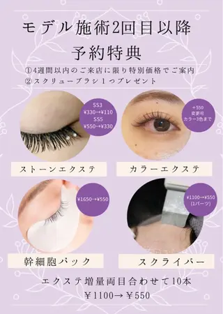 マツエク・マツパ Embellir/ "Aine"🕊のマツエク・マツパデザイン