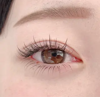 マツエク・マツパ Shucre名駅🤍 AYUのマツエク・マツパデザイン