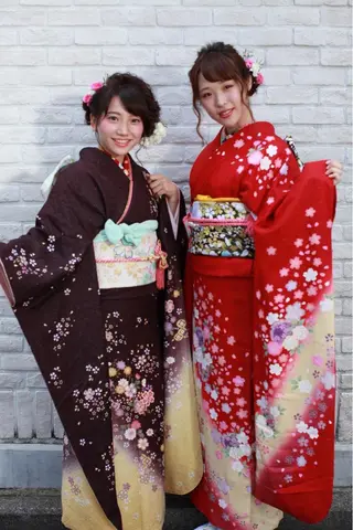 ヘアアレンジ 白髪ぼかしハイライト 着付けヘアアレンジのその他イメージ