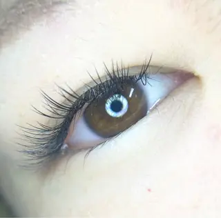 マツエク・マツパ LEDエクステ専門店 Fedis 京橋のマツエク・マツパデザイン