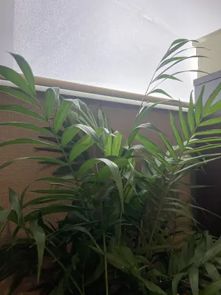 フェイシャルサロン ビアンカガーデンのエステ・リラクイメージ