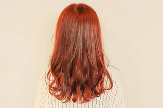 カラー セミロング 🌿flencia 丸　和博🌿のヘアスタイル