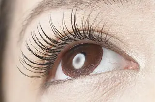 マツエク・マツパ dolce🌼 宇田川店のマツエク・マツパデザイン