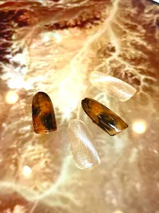 ネイル キャッツアイ西荻窪店 yasuoのネイルデザイン