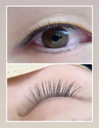 マツエク・マツパ Plume micoのマツエク・マツパデザイン