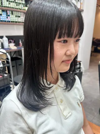 セミロング レイヤー/韓国/ ハッシュ/高田翼のヘアスタイル