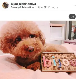 ビジュゥ夙川 ♪miwaのマツエク・マツパデザイン