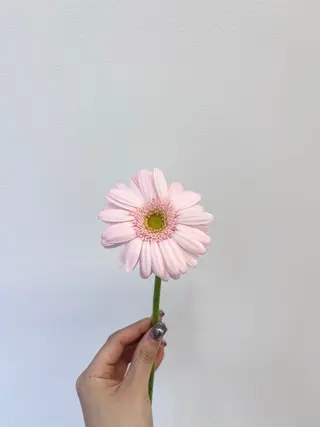 暖色カラー/ ヘアセット🌛櫻井舞のヘアスタイル