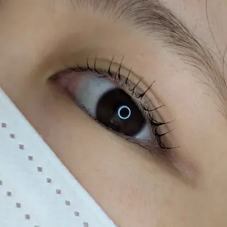 マツエク・マツパ のなか みきのマツエク・マツパデザイン