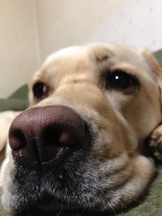 頭浸浴×似合わせ HolyGrailのヘアスタイル