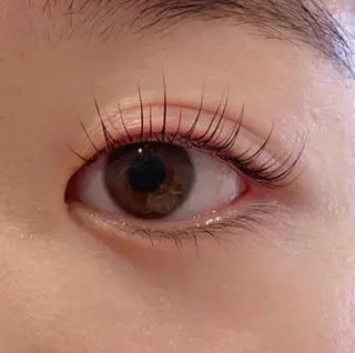 マツエク・マツパ Anela 🦋HARUMIの眉毛・アイブロウイメージ