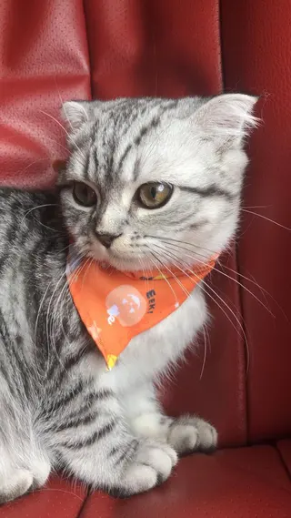 【安心ハンドテク】 メナード富田丘のエステ・リラクイメージ