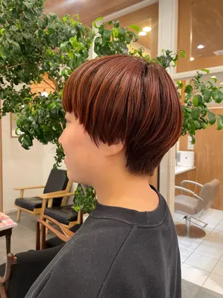 ショート ボブ ホノカのヘアスタイル